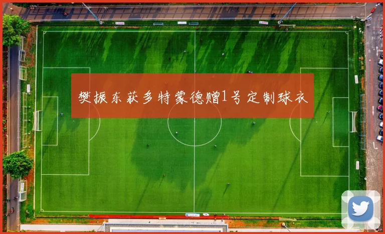 樊振东获多特蒙德赠1号定制球衣