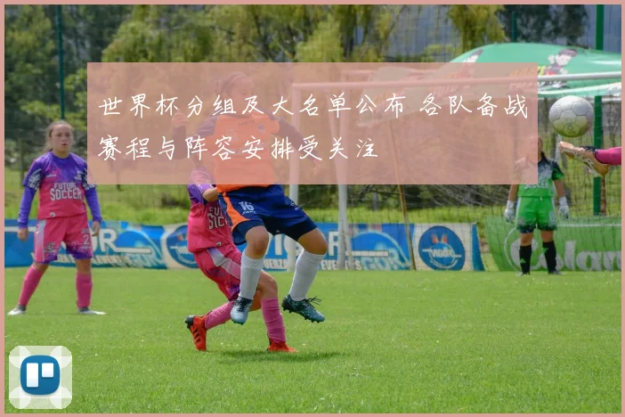 世界杯分组及大名单公布 各队备战赛程与阵容安排受关注