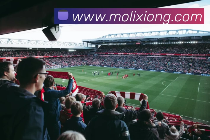 多媒体互动体验