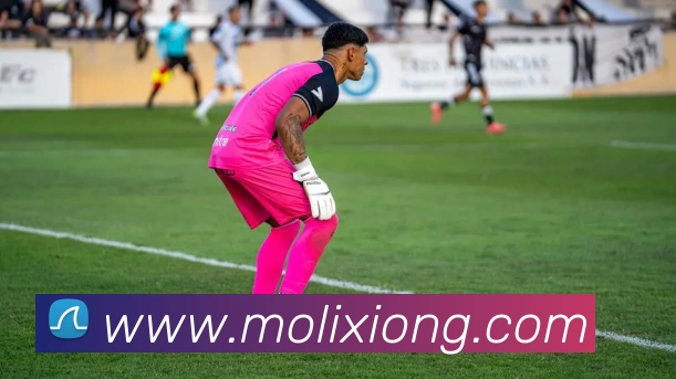 九游在线官网j9APP 体育赛事宣传图